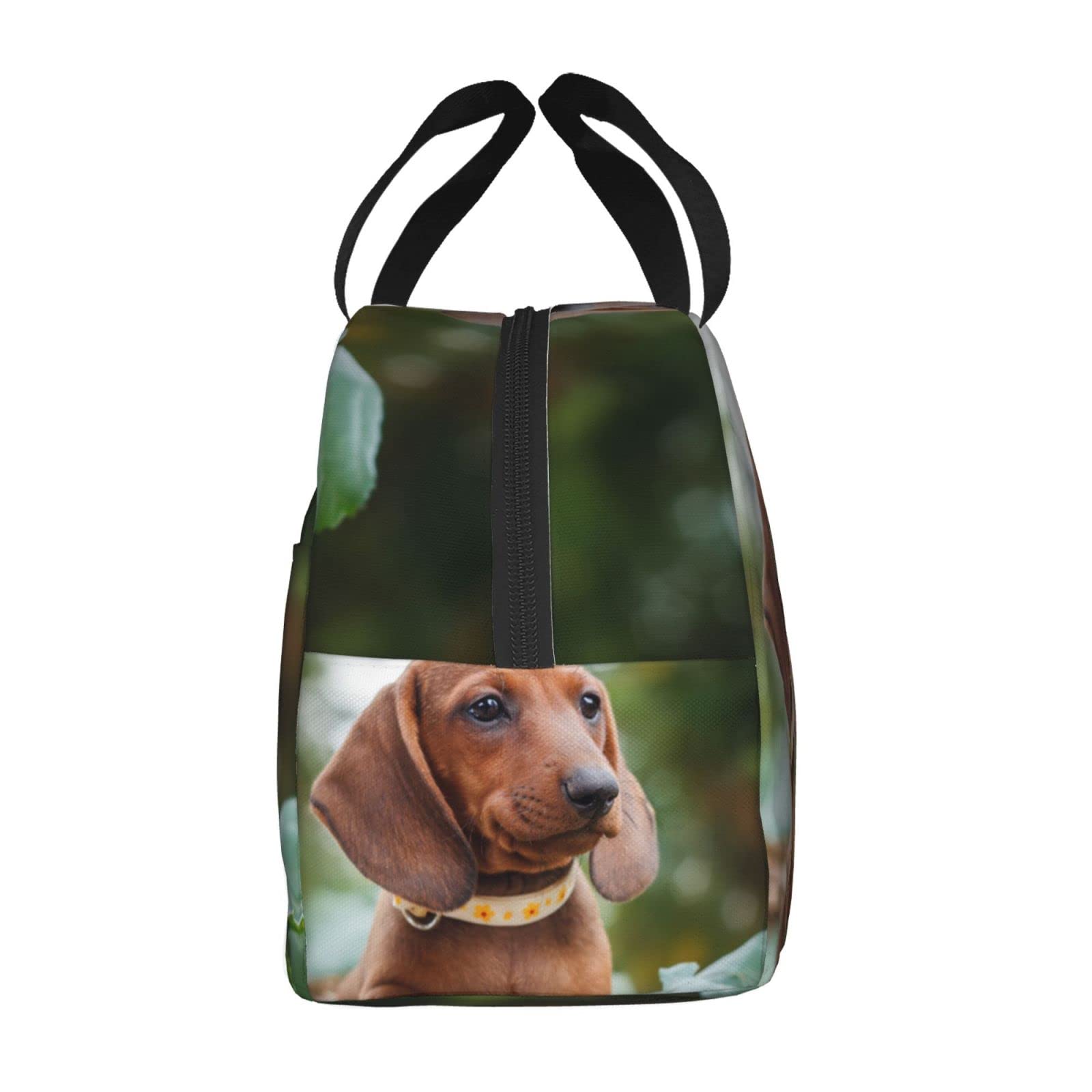 Amazon｜可愛いダックスフントの子犬 保温 保冷ランチバッグ お弁当袋